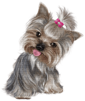 Kaz_Creations Dogs Dog Pup 🐶Colours - 無料png