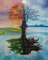 Tree of life bp - darmowe png