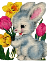 easter lapin bunny vintage - besplatni png