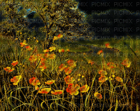 LANDSCAPE FLOWERS ROSALIA73 - Free animated GIF
