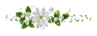 maj fleurs - PNG gratuit