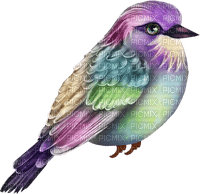 fågel-------bird - PNG gratuit