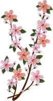 spring flowers - 免费PNG