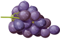 Grapes   Bb2 - фрее пнг