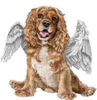 dog angel by nataliplus - безплатен png