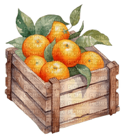 Orange - Bogusia - gratis png