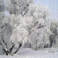 INVIERNO - Free PNG