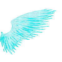 wings - Δωρεάν κινούμενο GIF