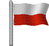Flaga - Ingyenes animált GIF