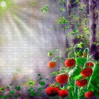 Y.A.M._Summer Strawberry background - фрее пнг