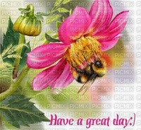 Have A Nice Day - kostenlos png