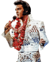 Kaz_Creations  Man Homme Elvis Presley - png gratis