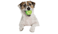 Kaz_Creations Dog Pup Dogs 🐶 - ücretsiz png