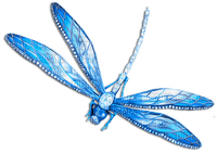 soave deco dragonfly blue - Free PNG