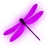 Dragonfly.Purple - Free PNG