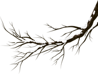 Rama de árbol en invierno - darmowe png