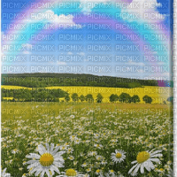 Rena Hintergrund Regenbogen Wiesen Landschaft - besplatni png