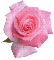roses Pelageya gif animation fluer - besplatni png