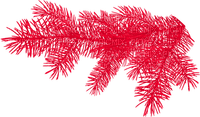 Pine.Tree.Branch.Red - zdarma png