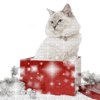 CHRISTMAS CAT CHAT NOEL - PNG gratuit