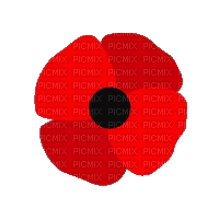 Remember Remembrance Day - Gratis geanimeerde GIF