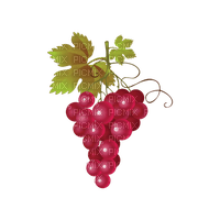 kikkapink deco scrap grape grapes - darmowe png