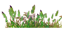 nbl grass - Darmowy animowany GIF