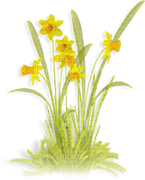 soave deco  flowers daffodils spring green yellow - png gratis