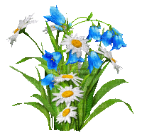 Animated.Flowers.Blue.White - By KittyKatLuv65 - Бесплатный анимированный гифка
