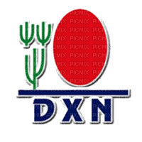 DXN - бесплатно png