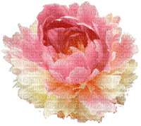 fleurs roses - 免费动画 GIF
