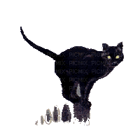 gatto - Gratis geanimeerde GIF