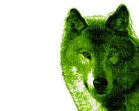 Kaz_Creations Wolf-Colours - PNG gratuit