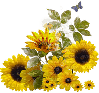 sunflowers bp - ingyenes png