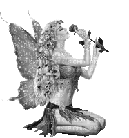 Y.A.M._Fantasy fairy black-white - Kostenlose animierte GIFs