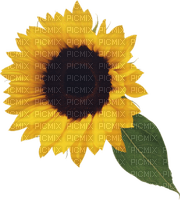 Kaz_Creations Deco Flowers Sunflower Flower - png gratuito
