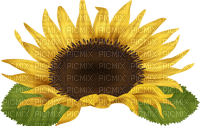 sunflower deco - png grátis