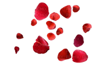 rose petals - δωρεάν png