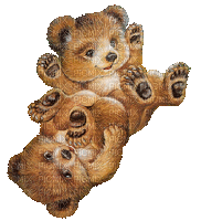 teddy - 無料のアニメーション GIF