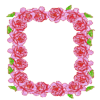 pink roses frame - Gratis animeret GIF