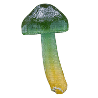 mushroom - Free PNG