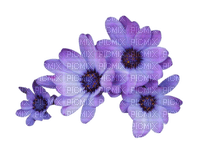 dulcineia8 flores - png gratuito