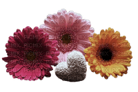 flower-gerbera-heart-400x267 - png ฟรี