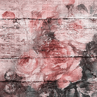 soave background vintage  animated  pink teal