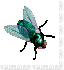 fly - 無料のアニメーション GIF