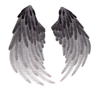 Wings - nemokama png