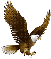 Aguila11 - PNG gratuit