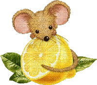 lemon fruit bp - Gratis geanimeerde GIF