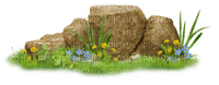 Piedras y plantas - 無料png