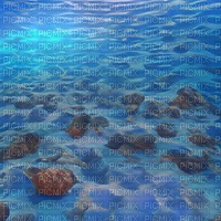 Ocean Floor - PNG gratuit